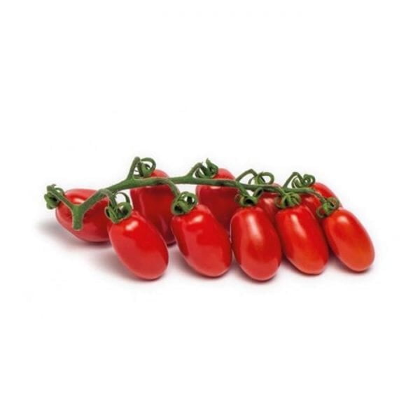 Datterino Tomato