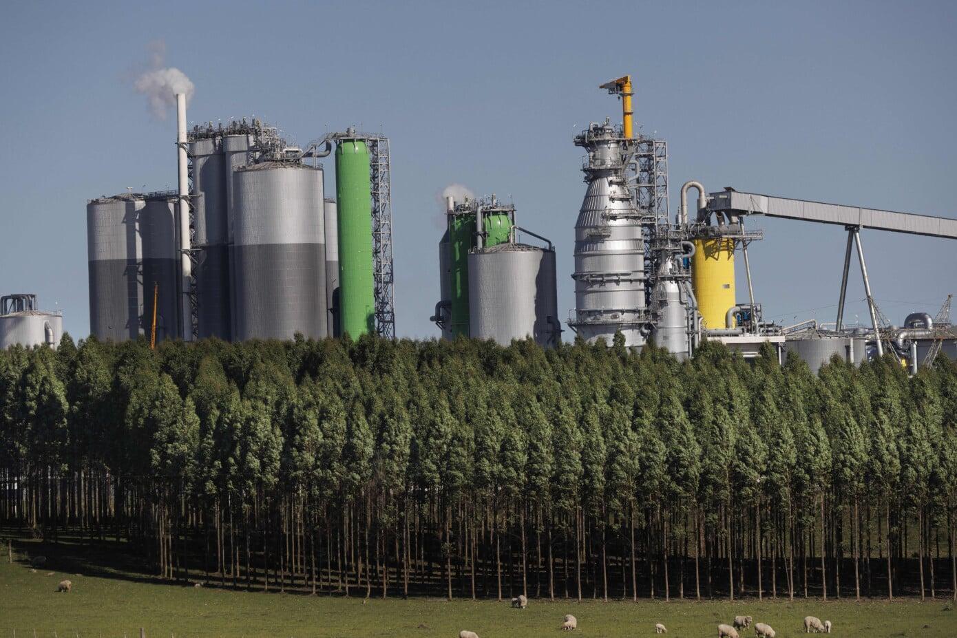 Image: UPM Paso de los Toros pulp mill in Uruguay / UPM