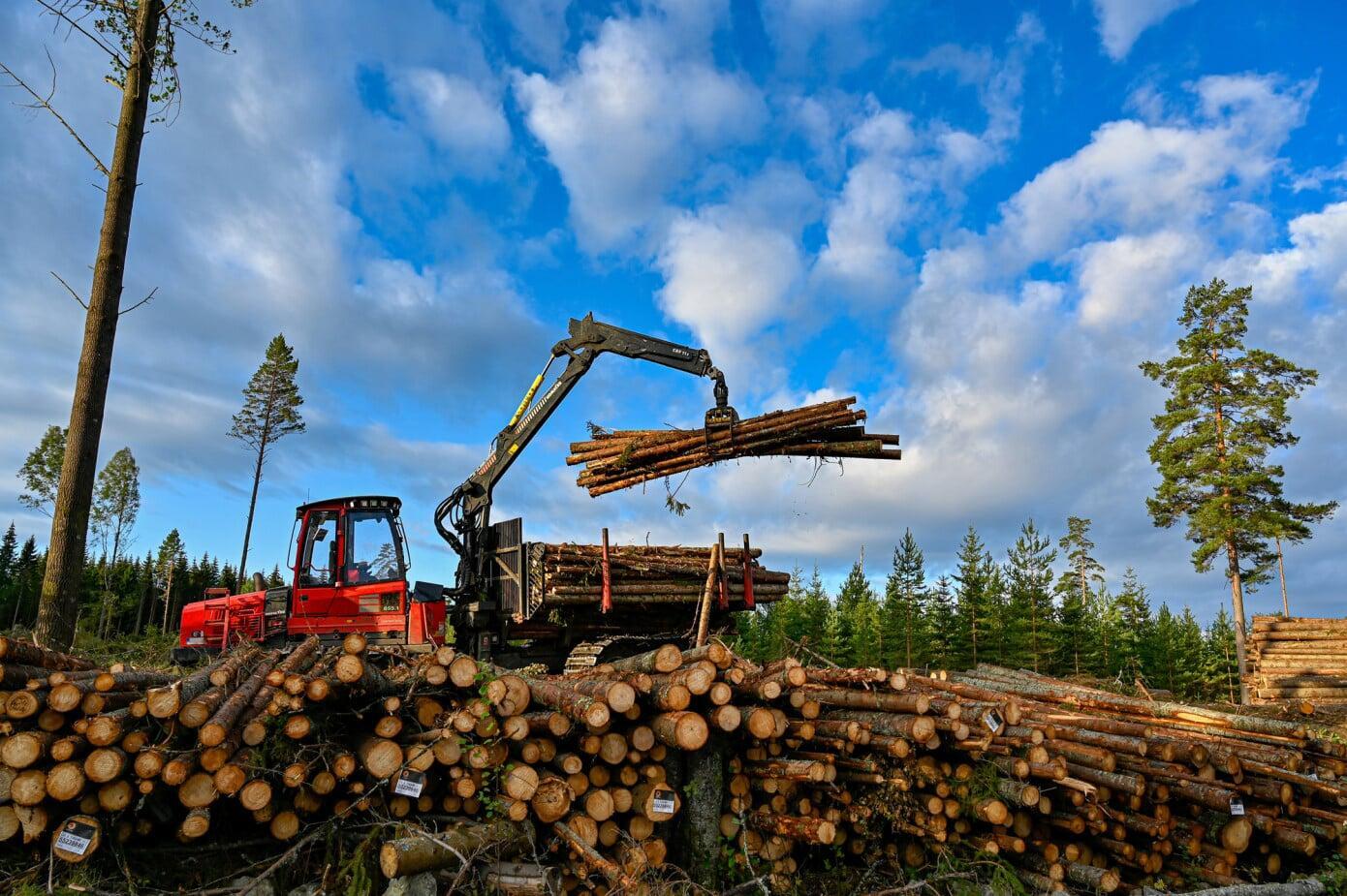 Finland’s forest industry